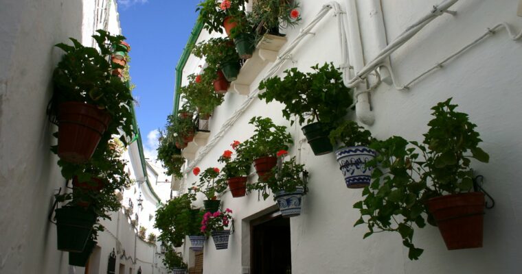 Descubre la belleza de Encarnación, la joya del sur de Paraguay.
