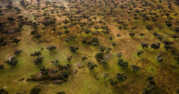 Guía de turismo en Ciudad del Este, la vibrante ciudad fronteriza en Paraguay